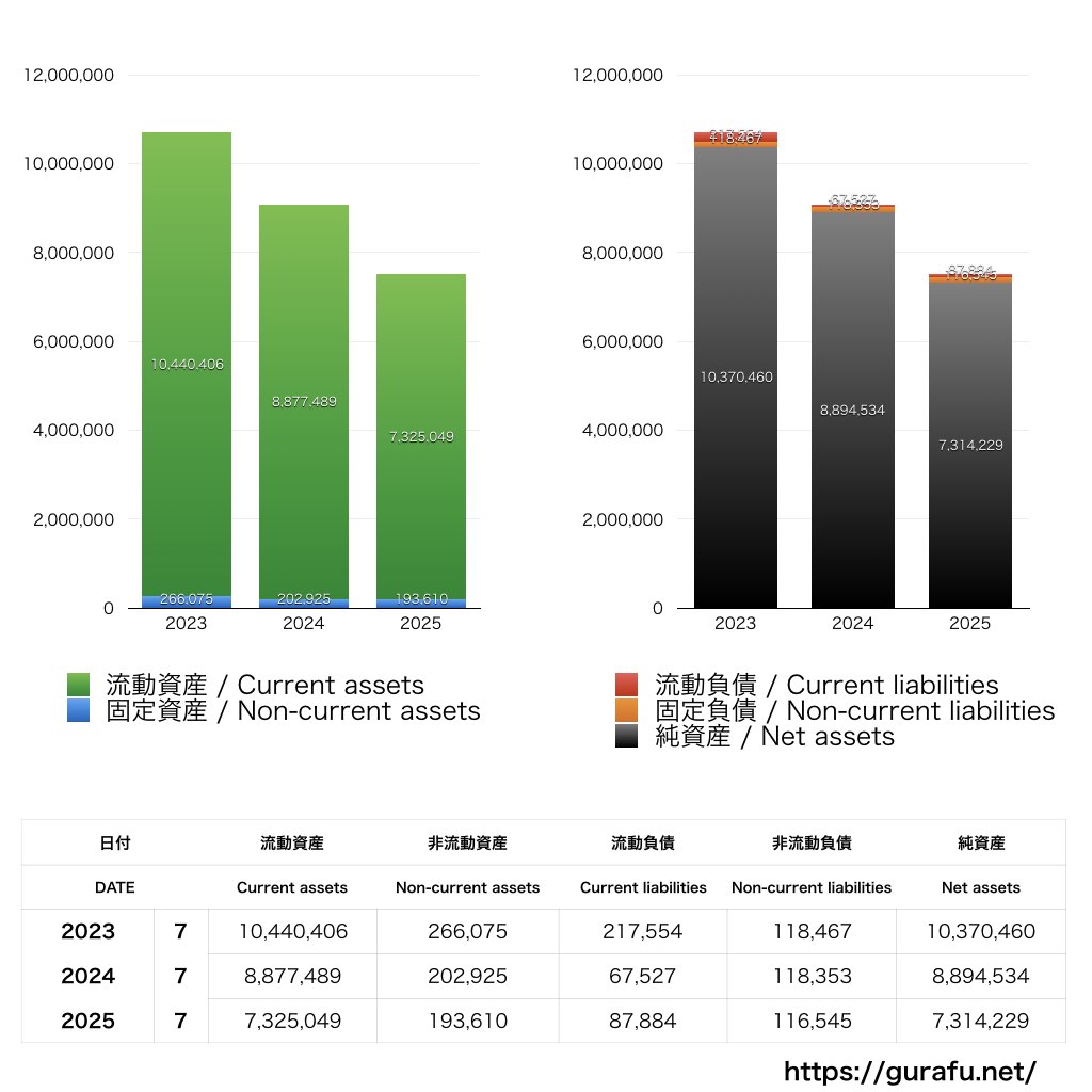 ステムリム_BS_バランスシート_グラフ