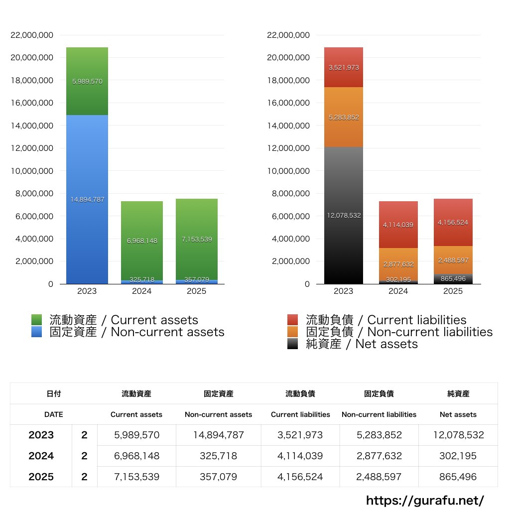 ビザスク_BS_バランスシート_グラフ