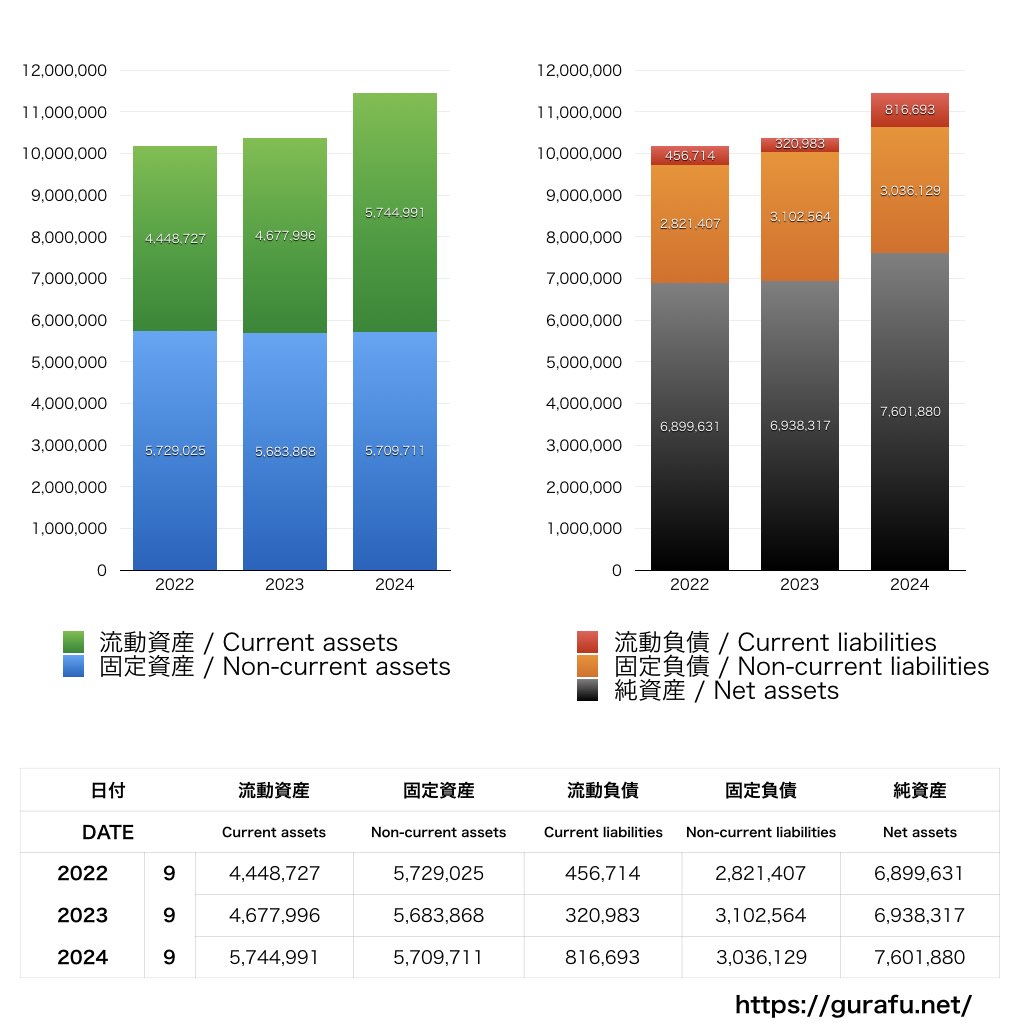 大日本図書_BS_バランスシート_グラフ