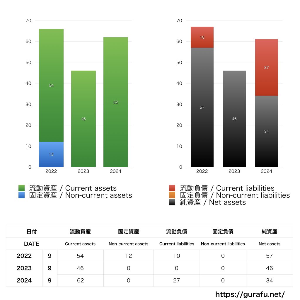 新たな細胞_BS_バランスシート_グラフ